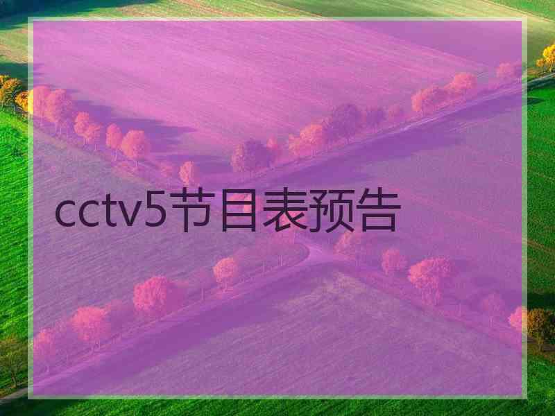 cctv5节目表预告