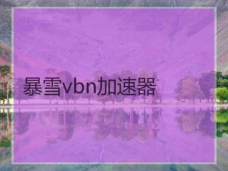 暴雪vbn加速器