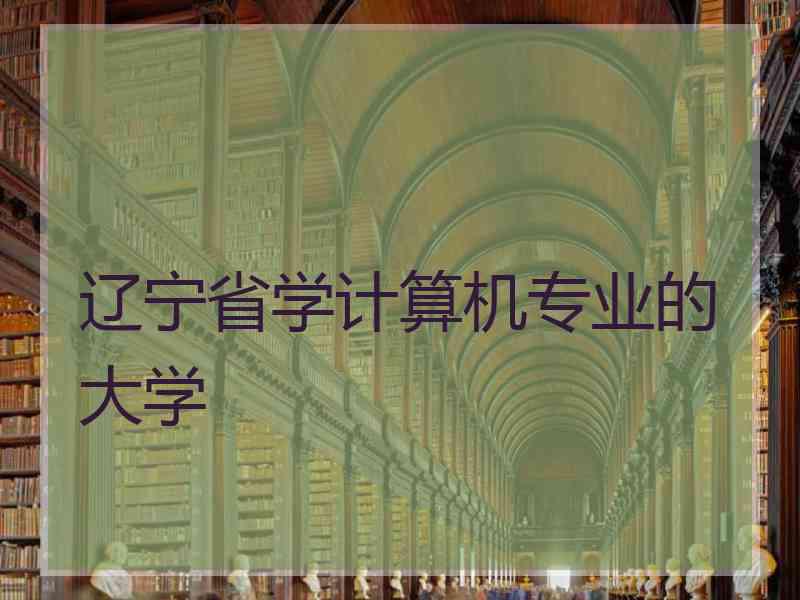 辽宁省学计算机专业的大学
