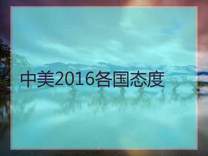 中美2016各国态度