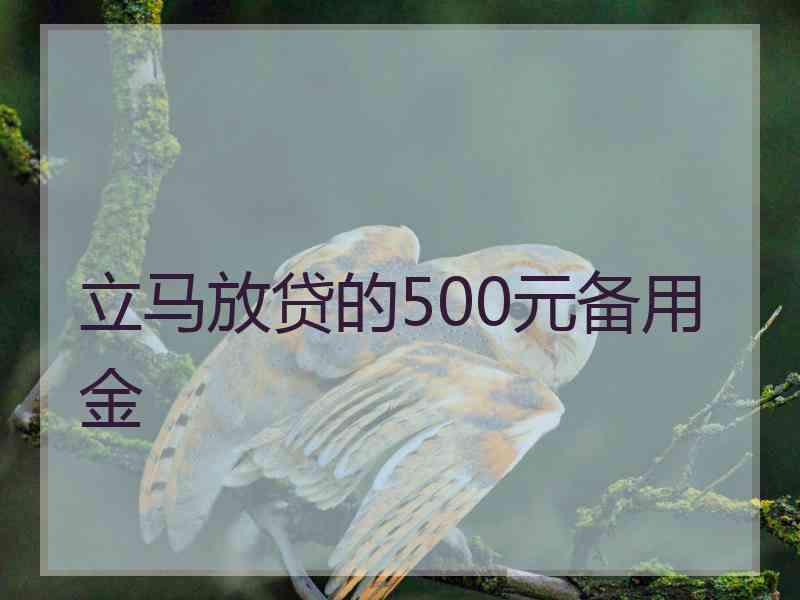 立马放贷的500元备用金