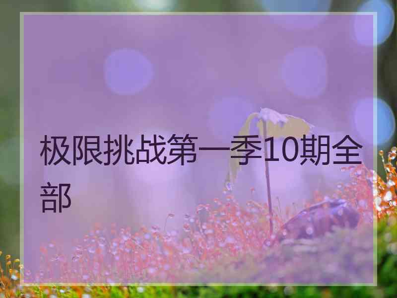 极限挑战第一季10期全部