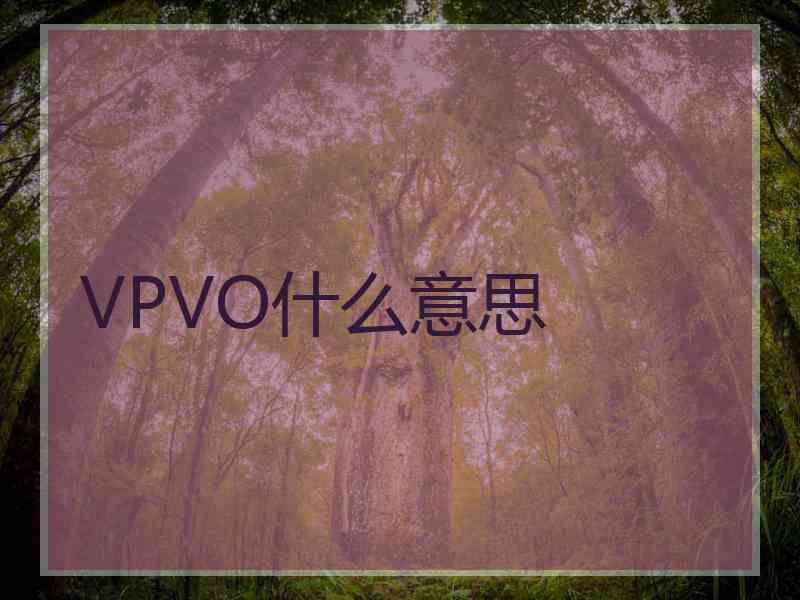 VPVO什么意思