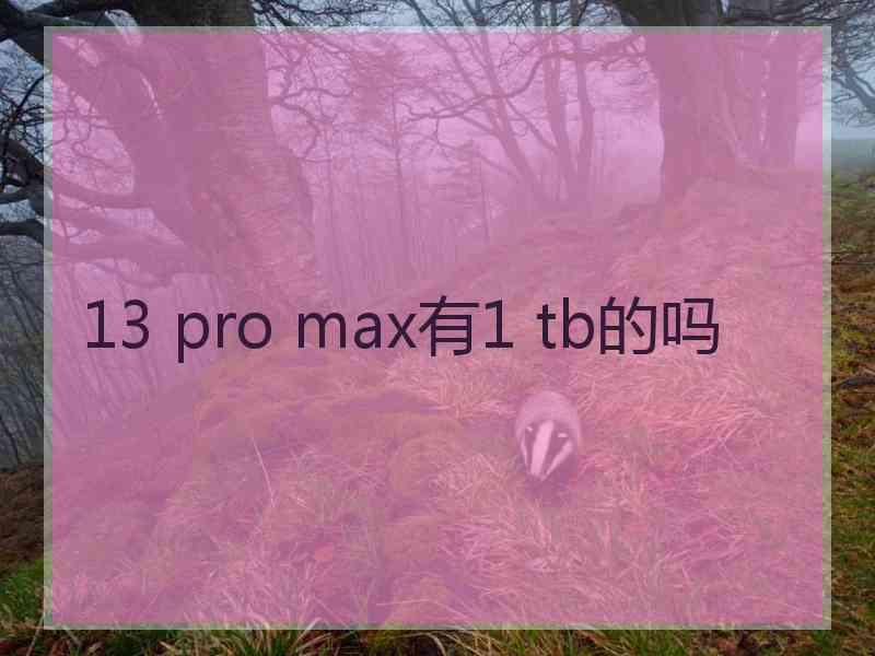 13 pro max有1 tb的吗