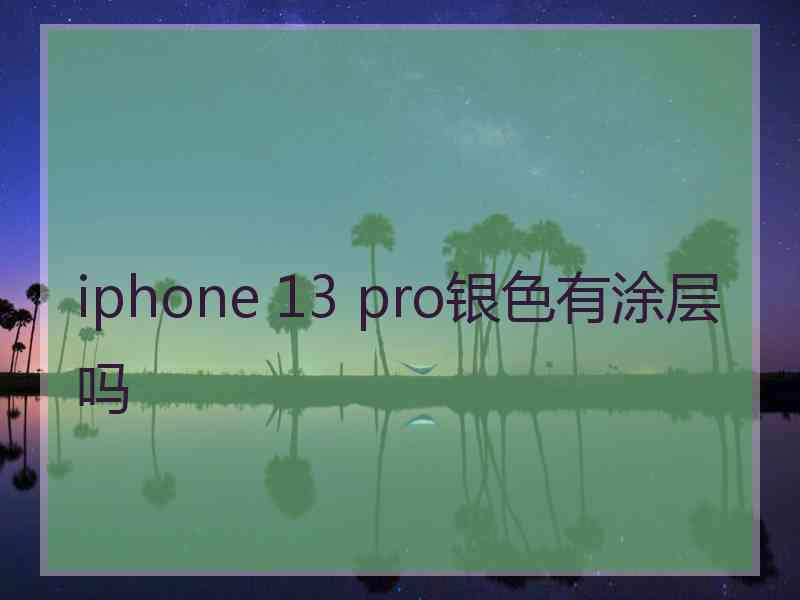 iphone 13 pro银色有涂层吗