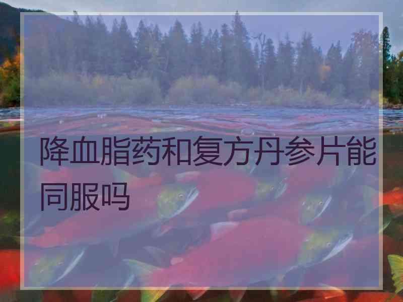 降血脂药和复方丹参片能同服吗