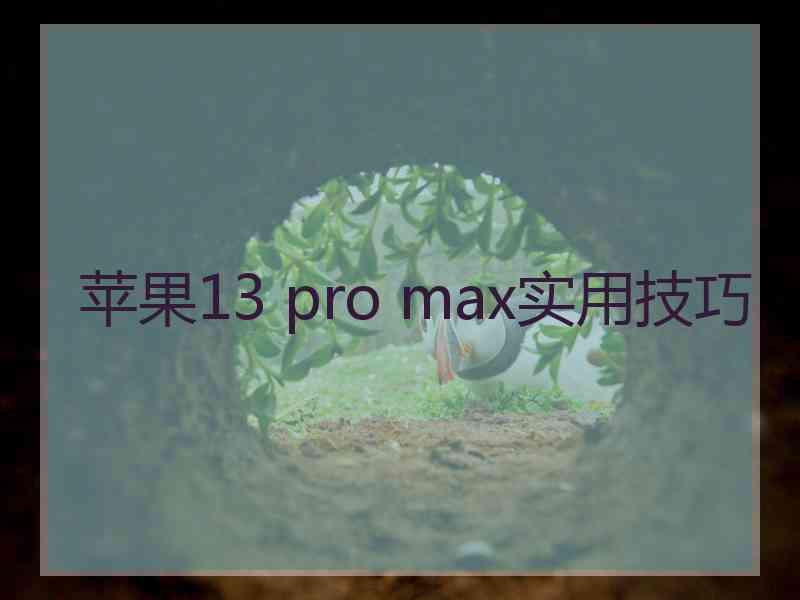 苹果13 pro max实用技巧