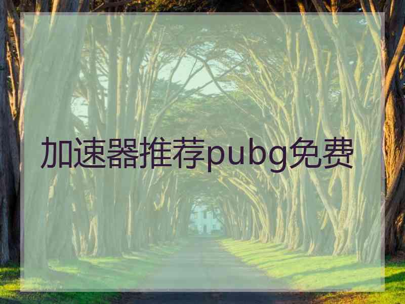 加速器推荐pubg免费