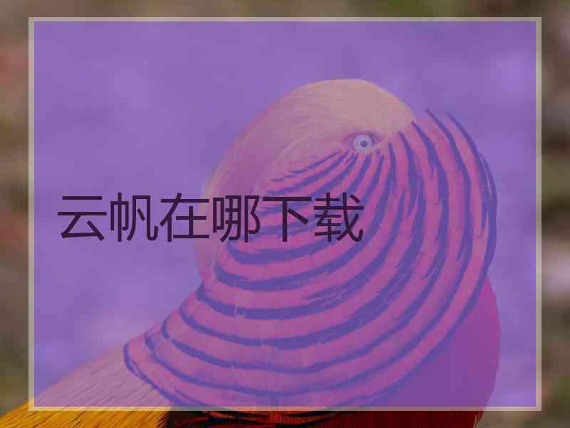 云帆在哪下载