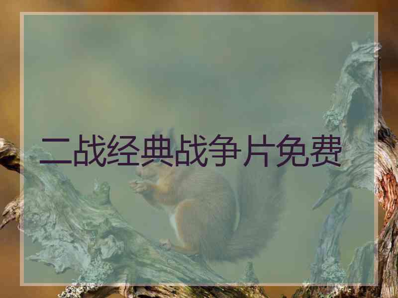 二战经典战争片免费