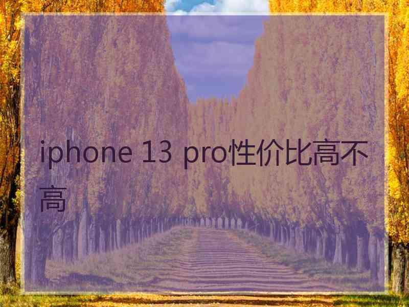 iphone 13 pro性价比高不高