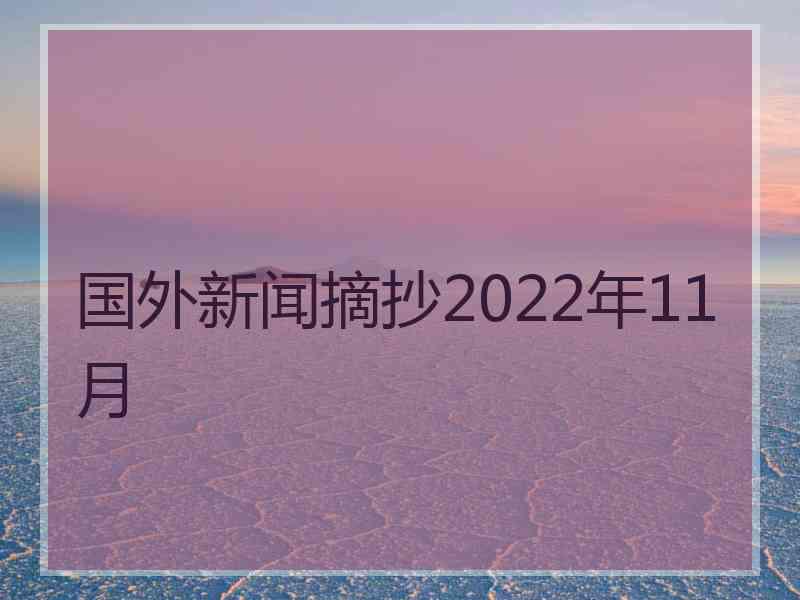 国外新闻摘抄2022年11月