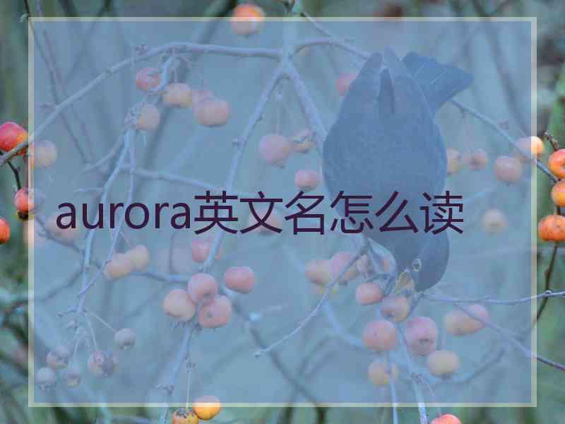 aurora英文名怎么读