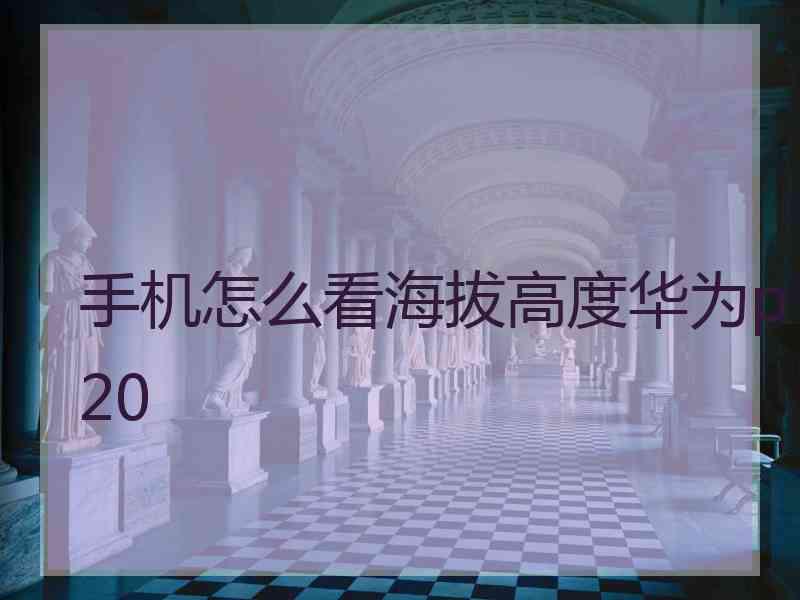 手机怎么看海拔高度华为p20