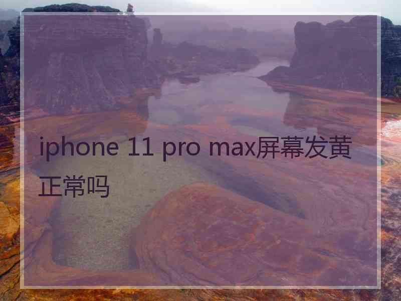 iphone 11 pro max屏幕发黄正常吗