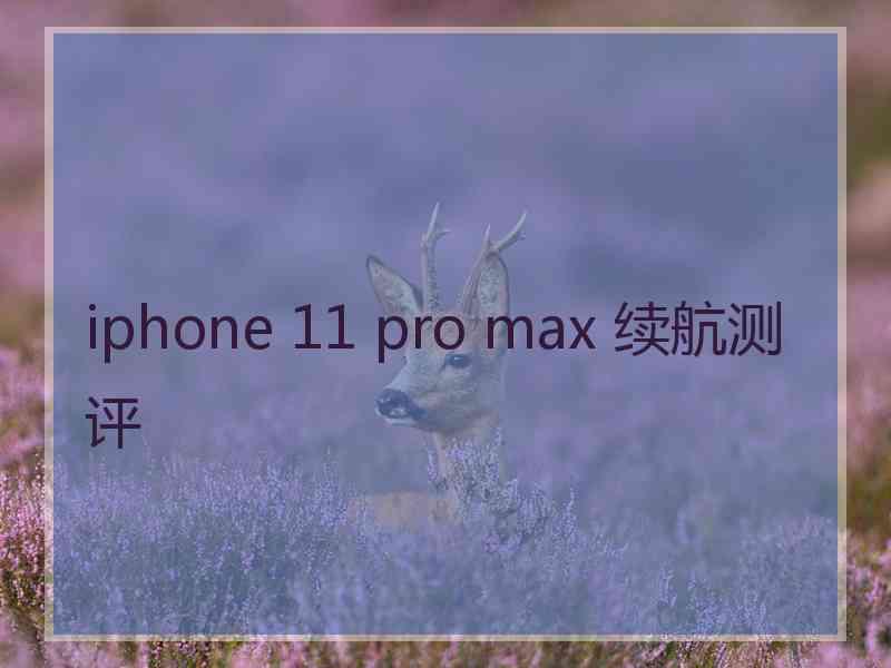 iphone 11 pro max 续航测评