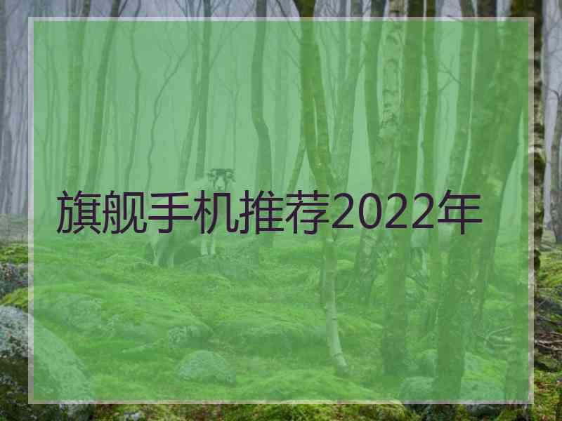 旗舰手机推荐2022年