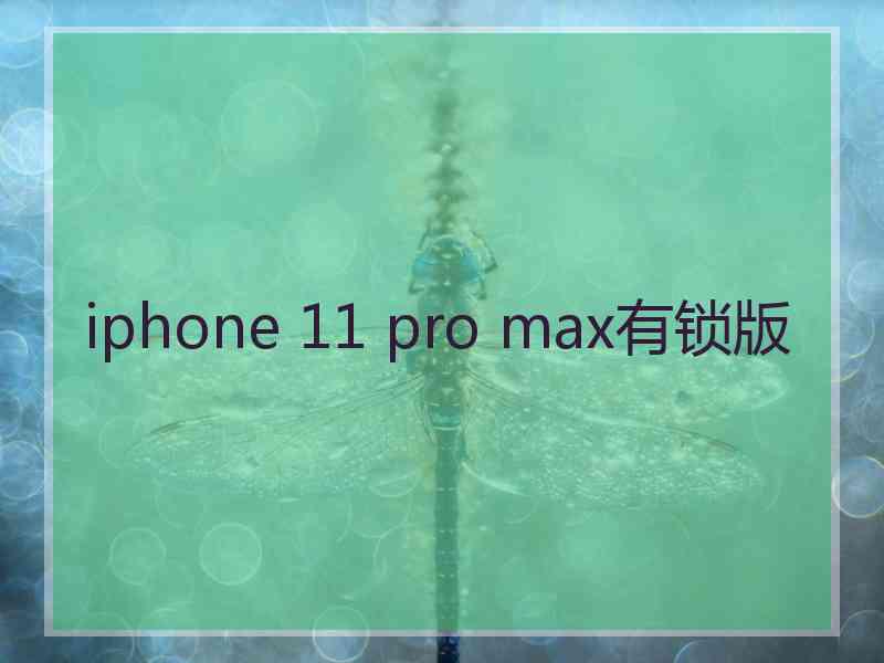 iphone 11 pro max有锁版