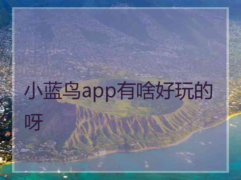 小蓝鸟app有啥好玩的呀