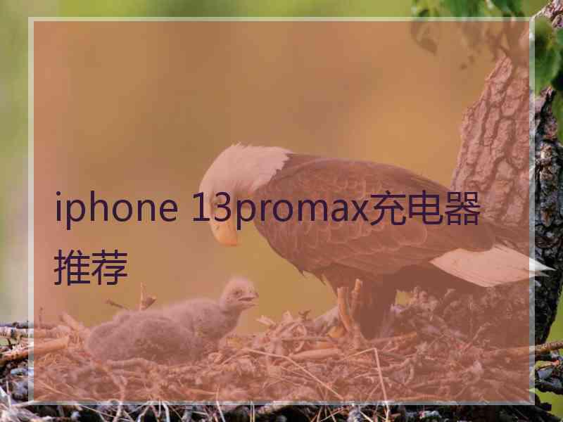 iphone 13promax充电器推荐