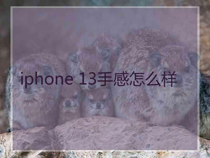 iphone 13手感怎么样