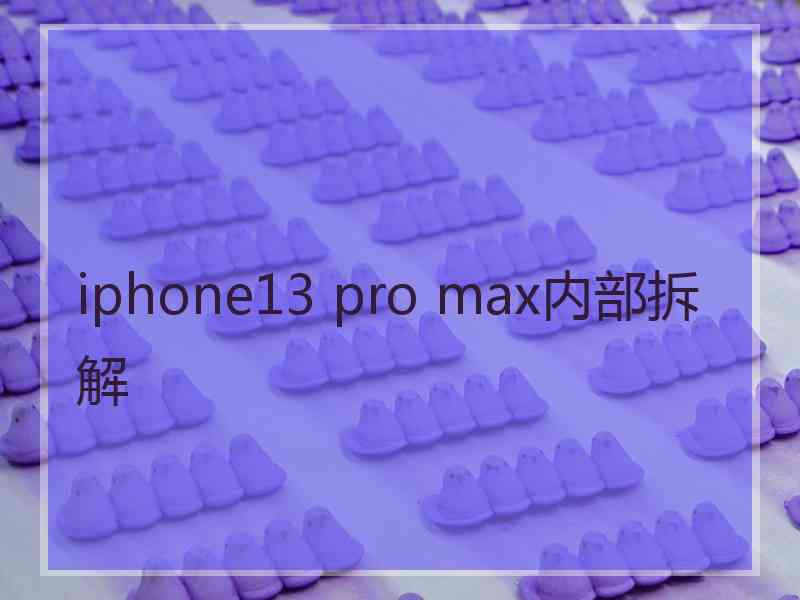 iphone13 pro max内部拆解