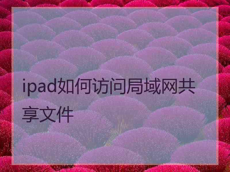 ipad如何访问局域网共享文件