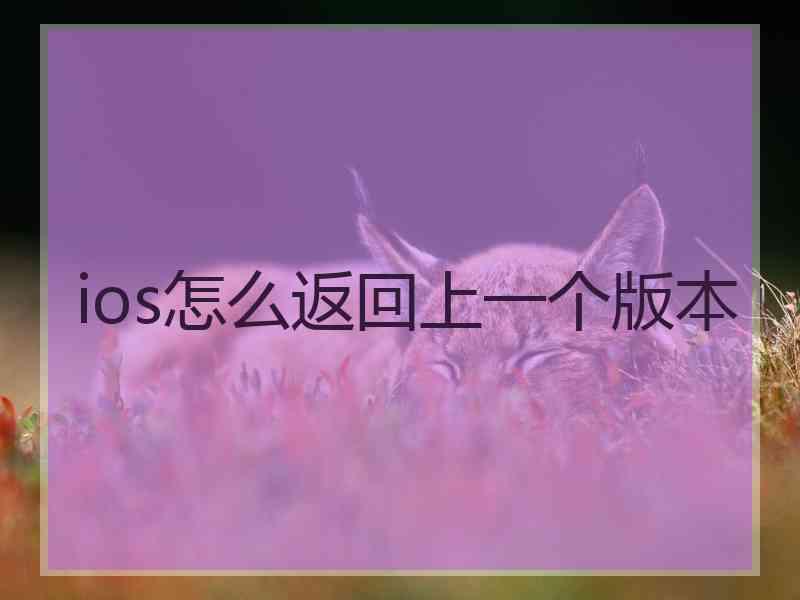 ios怎么返回上一个版本