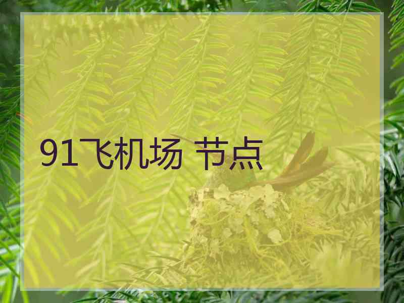 91飞机场 节点