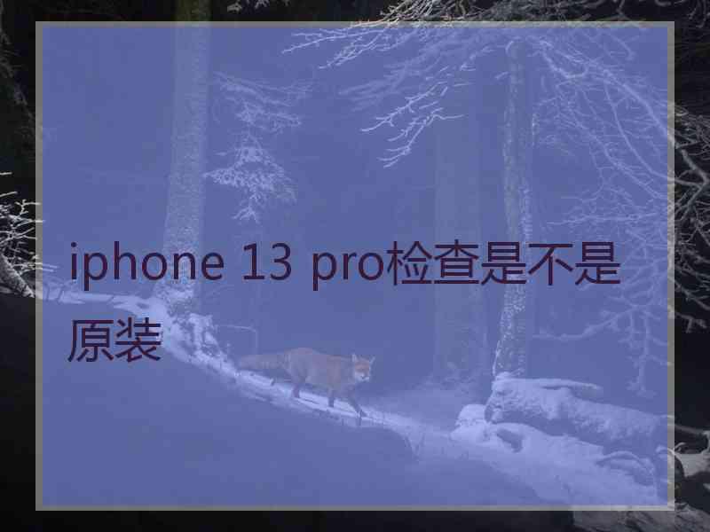 iphone 13 pro检查是不是原装