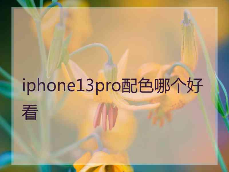 iphone13pro配色哪个好看