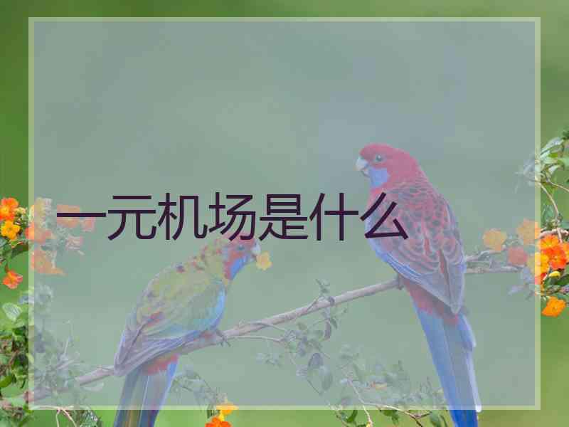 一元机场是什么