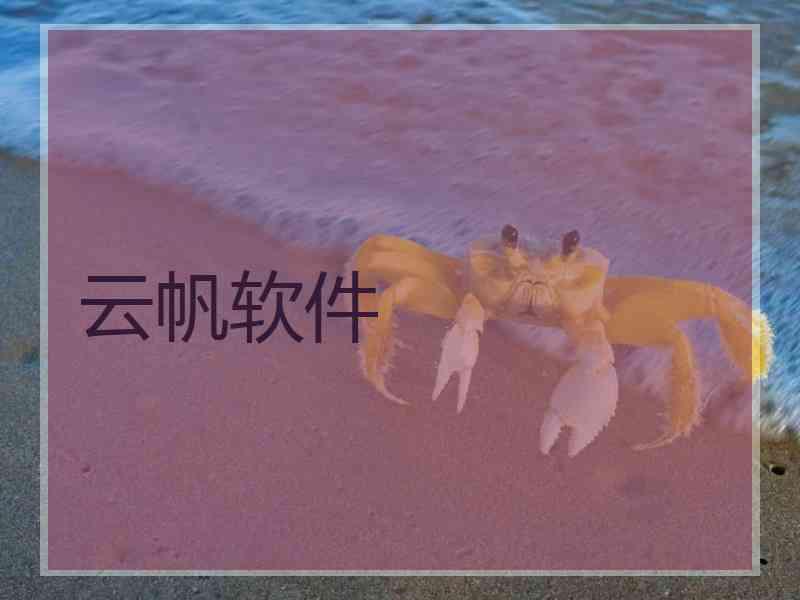 云帆软件