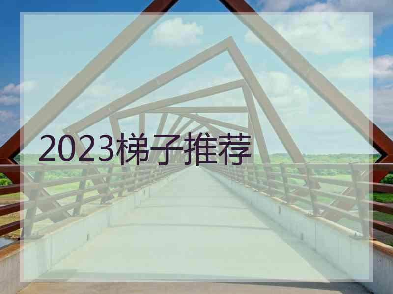 2023梯子推荐