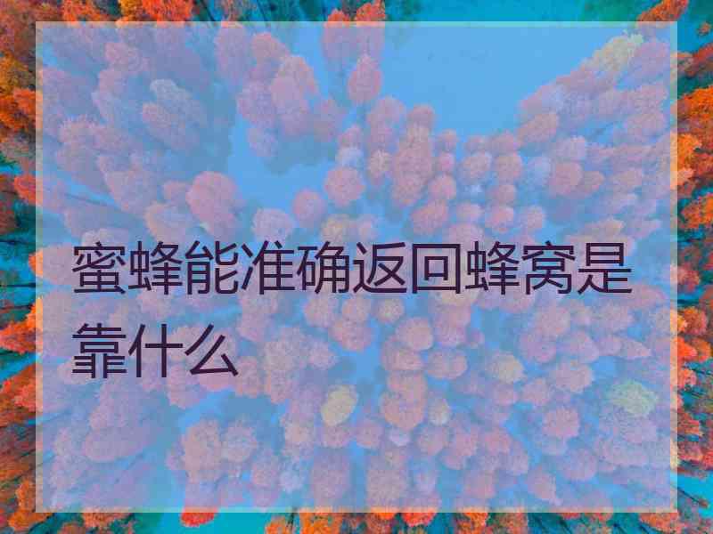 蜜蜂能准确返回蜂窝是靠什么