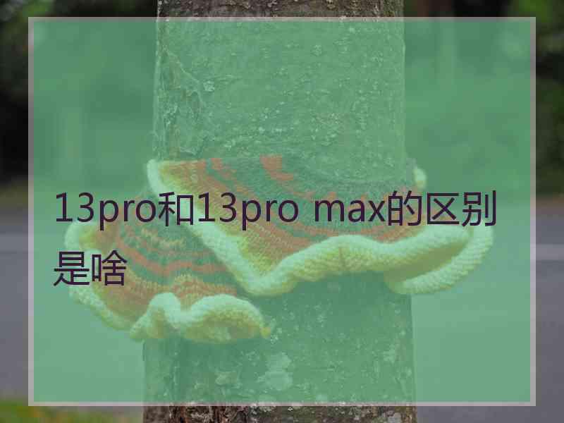 13pro和13pro max的区别是啥