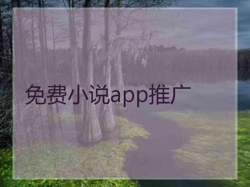 免费小说app推广