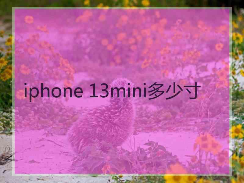 iphone 13mini多少寸