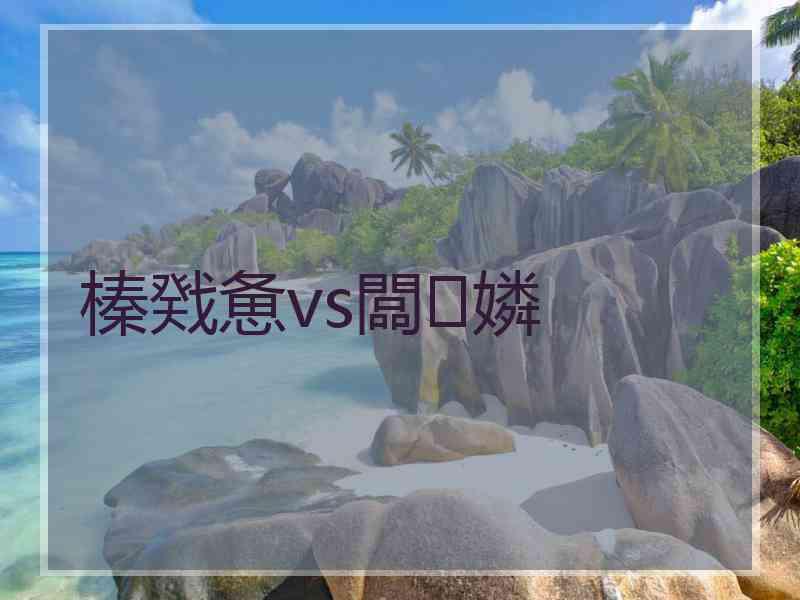 榛戣惫vs闆嫾