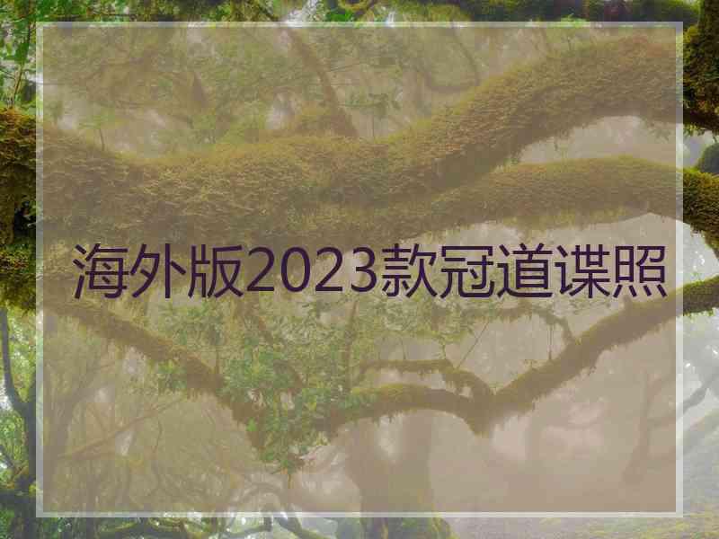 海外版2023款冠道谍照