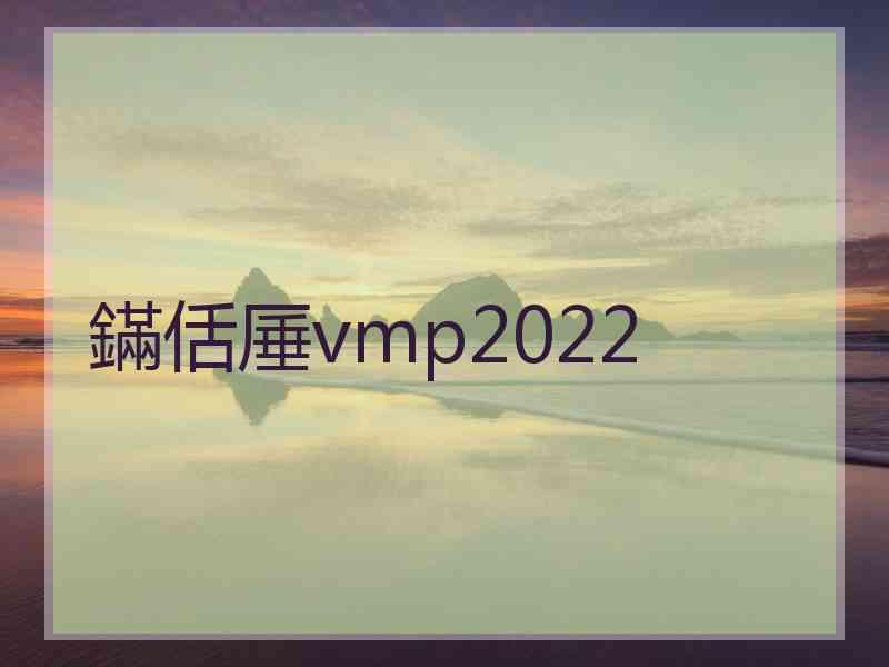 鏋佸厜vmp2022