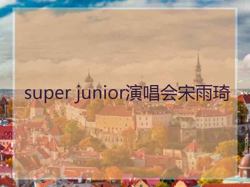 super junior演唱会宋雨琦