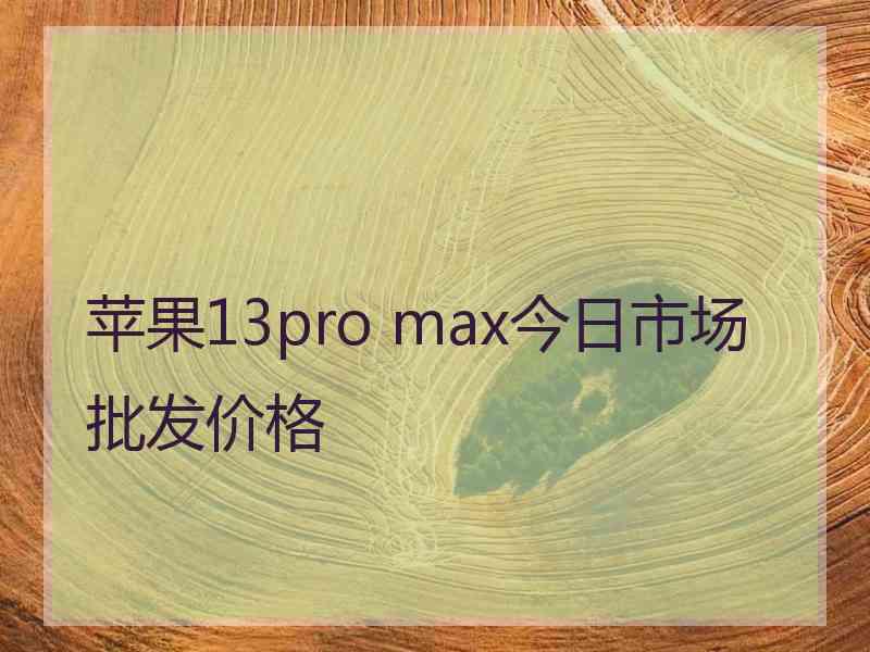 苹果13pro max今日市场批发价格