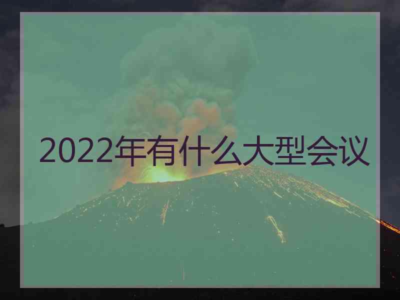 2022年有什么大型会议