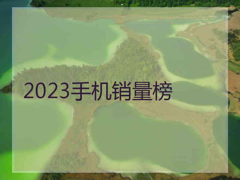 2023手机销量榜