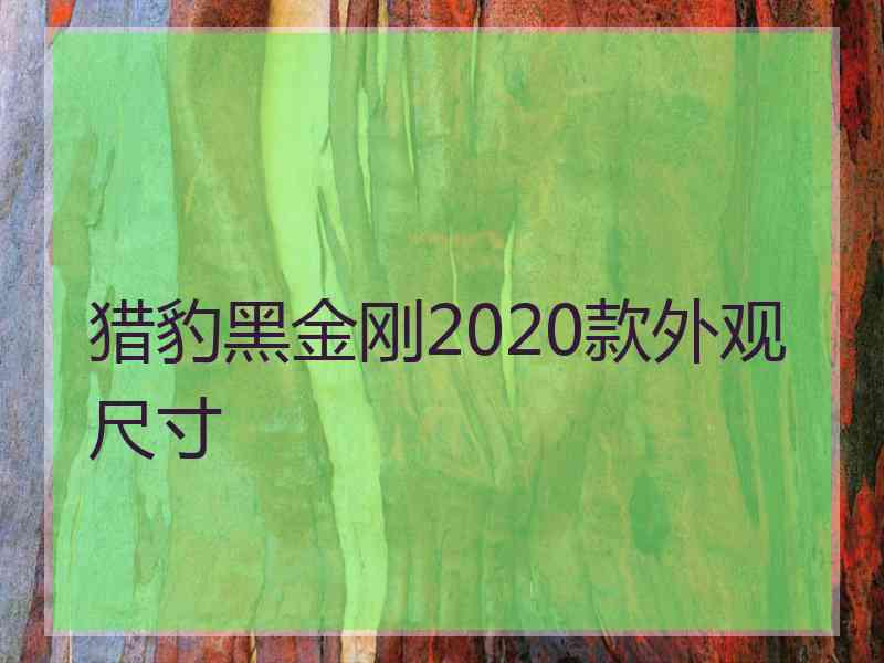 猎豹黑金刚2020款外观尺寸