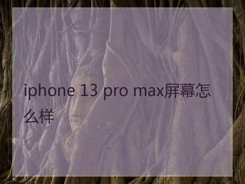 iphone 13 pro max屏幕怎么样