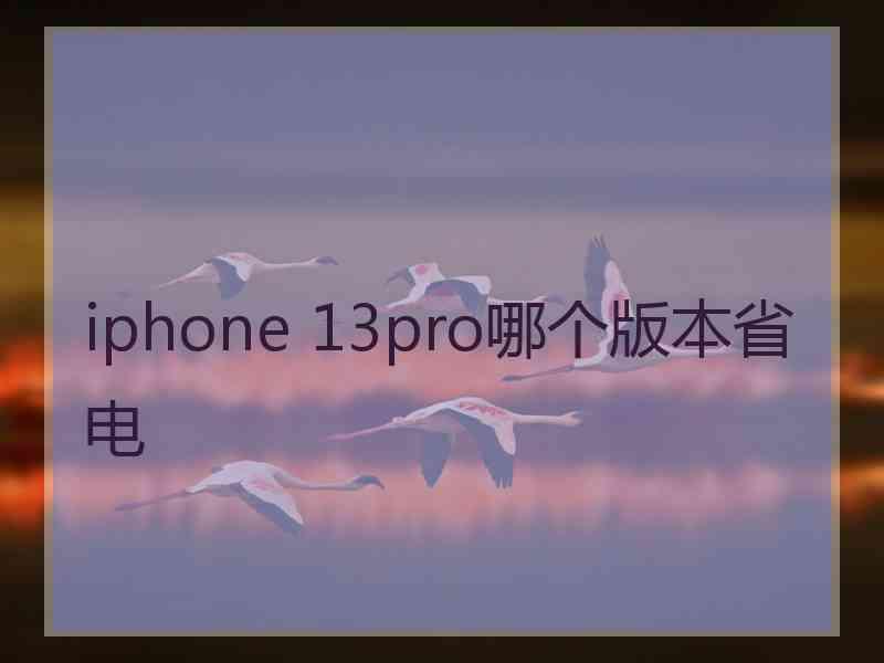 iphone 13pro哪个版本省电