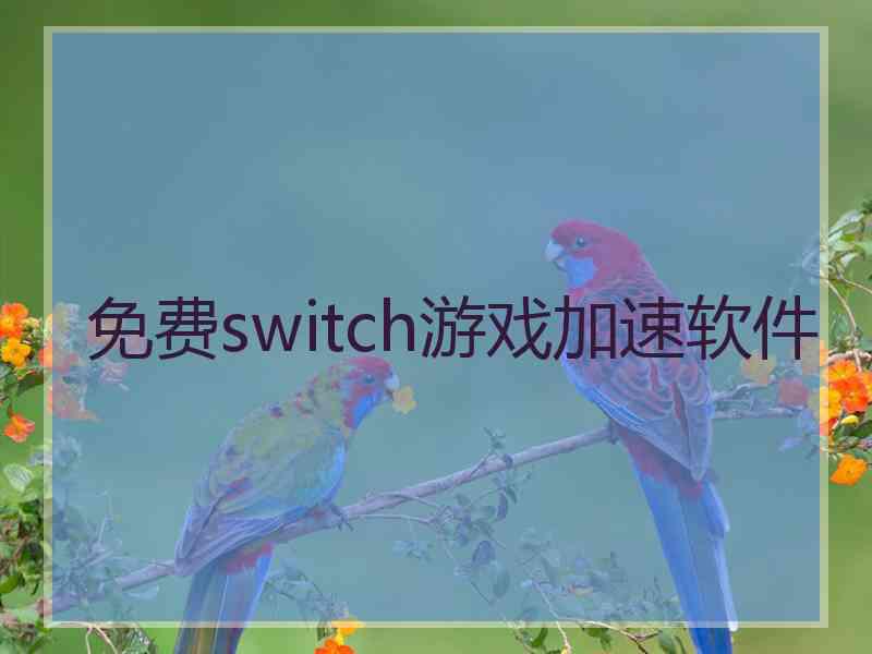 免费switch游戏加速软件