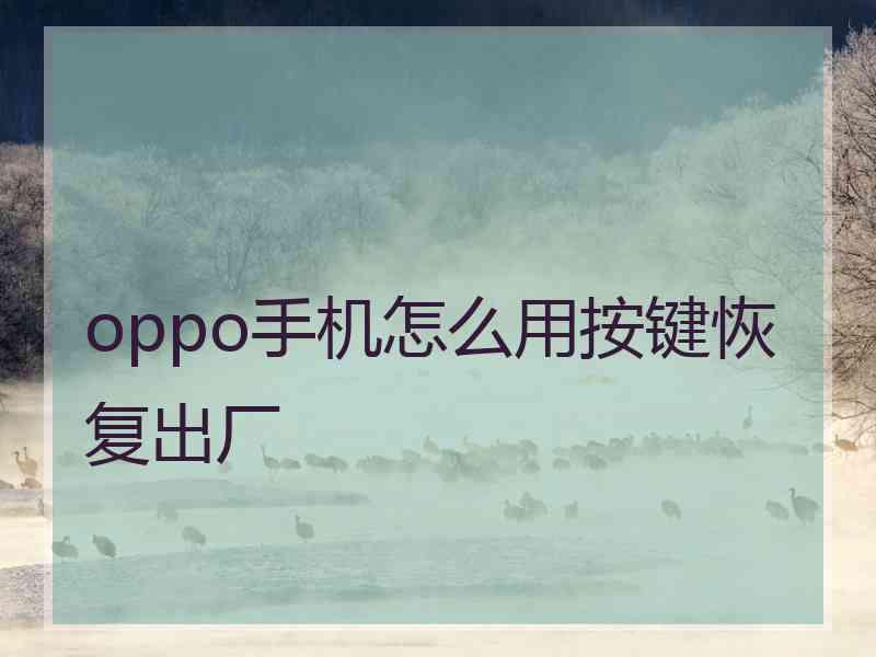 oppo手机怎么用按键恢复出厂